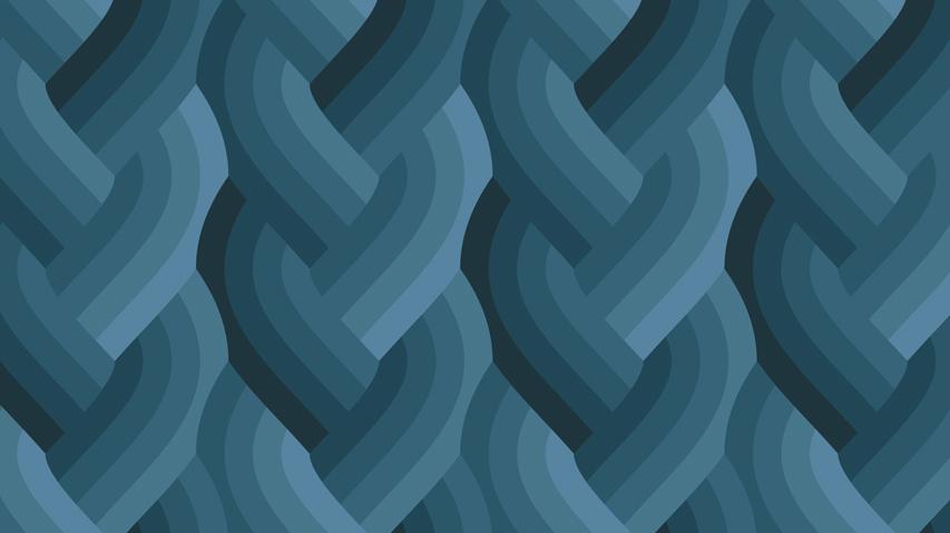 Echo Braid Navy 42380 18