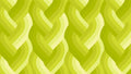 Echo Braid Acid Green 42380 23
