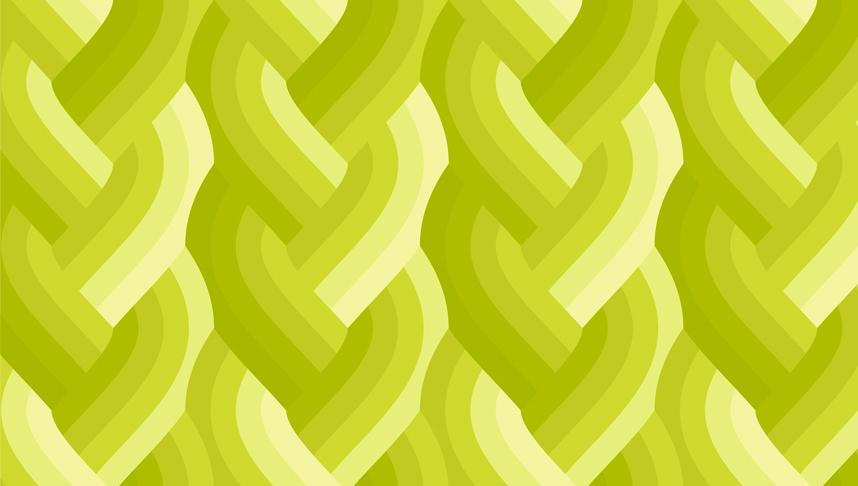 Echo Braid Acid Green 42380 23