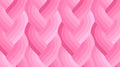 Echo Braid Pink 42380 27