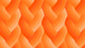 Echo Braid Orange 42380 31