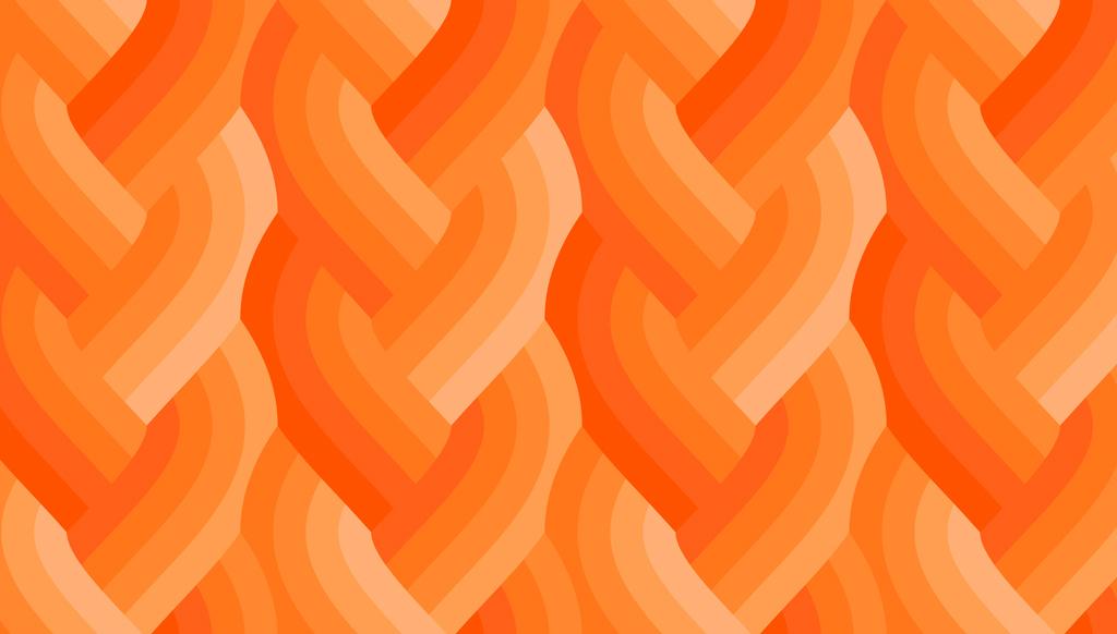 Echo Braid Orange 42380 31