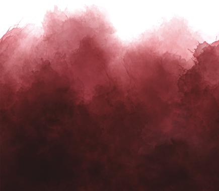 Mystic Ombre Burgundy 10876 317