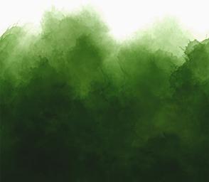 Mystic Ombre Evergreen 10876 324