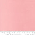 Quilting Cuddle Solid Seashell QC Seashell