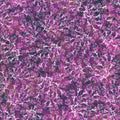 AQSD-22772-20 AMETHYST by Christiane Marques from Calixta
