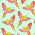 Macaw Ya Later - Mango || Daydreamer