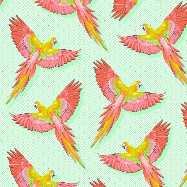 Macaw Ya Later - Mango || Daydreamer