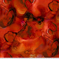 TIM HOLTZ - ALCHEMY - INTENSE