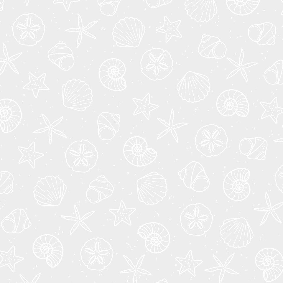 Ramblings by the Sea - Sandy Shells