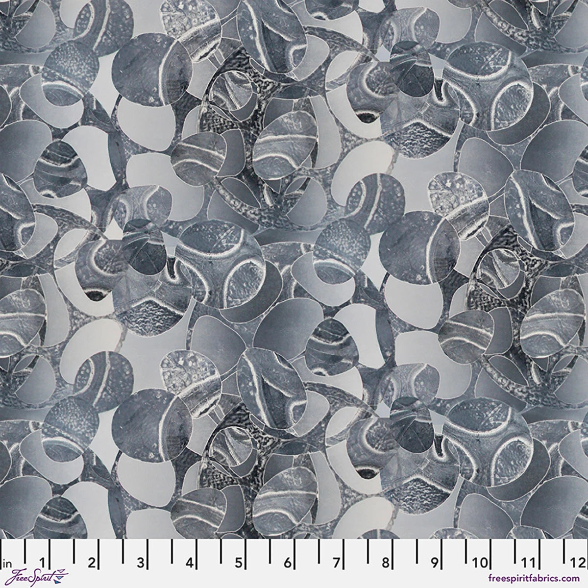 Into Focus Gray Shadow Silver