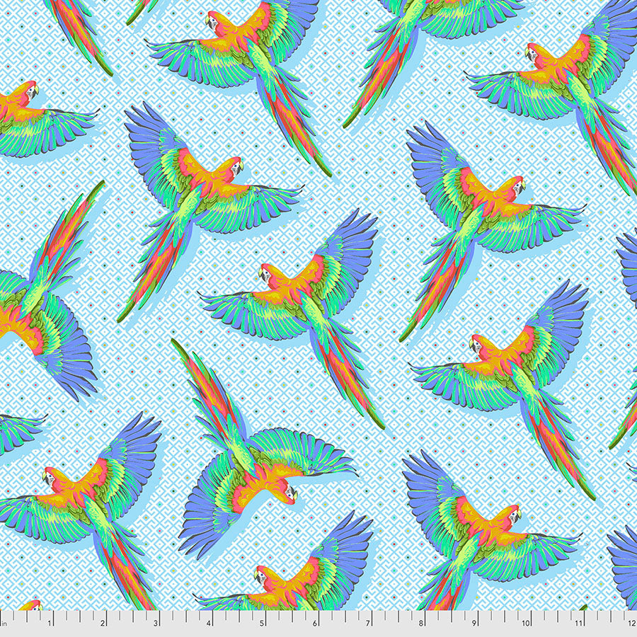 Macaw Ya Later - Cloud || Daydreamer