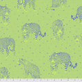 Lil Jaguars - Kiwi || Daydreamer
