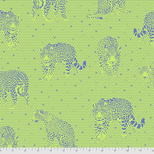 Lil Jaguars - Kiwi || Daydreamer