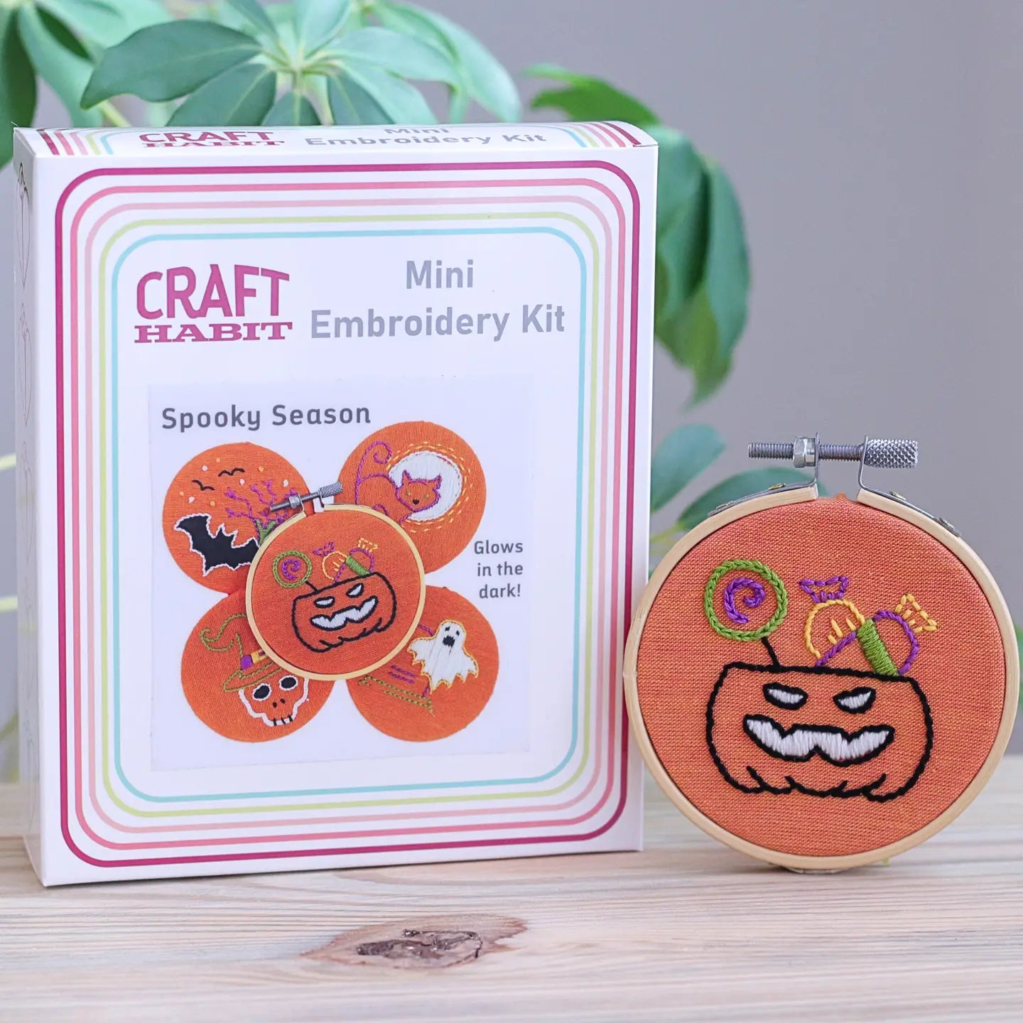 Spooky Season Mini Embroidery Kit