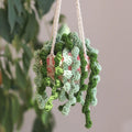 Amigurumi Hanging Plant Crochet Kit