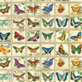 Vintage Library of Rarities 19598-200