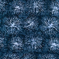 Tonga-B1228-Firework