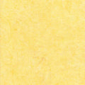 Tonga-B9534 Melon