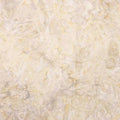 Batiks Elementals Color Play Mottled Coffee Cream