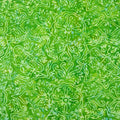 Batiks Rainbow Kiwi