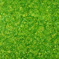 Batiks Rainbow Green Apple