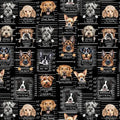 Black Dog Mugshots GAIL-CD3888