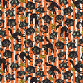 Orange Trick Or Treat Cats