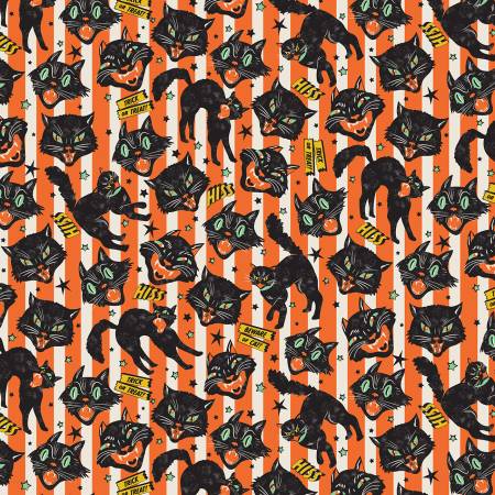 Orange Trick Or Treat Cats