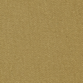 Crossroads Denim - Mustard Seed