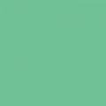 Designer Essentials Solids - Cactus