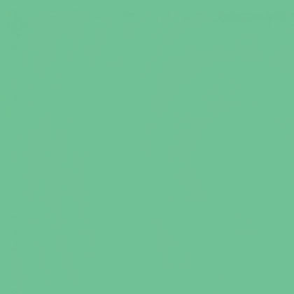 Designer Essentials Solids - Cactus