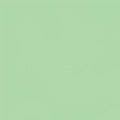 Designer Essentials Solids - Neon