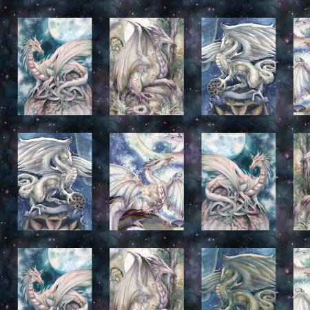 Mystic Dragon Multi Ride Your Dreams Panel