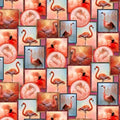 Flamingo Tango DDC12916-Mult