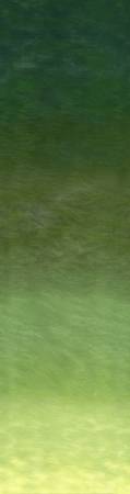 Best Loved DPN014-8 Green