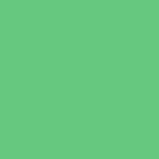 Tula Pink Solids-Cricket