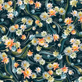 Koi Pond - Water Lilies