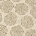 Turtle Bay - Brown Sand Dollars (9526-A)