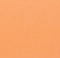 Oasis Solids 622056 Poppy Bloom