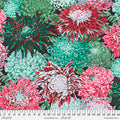 Japanese Chrysanthemum  - Blush PWPJ041