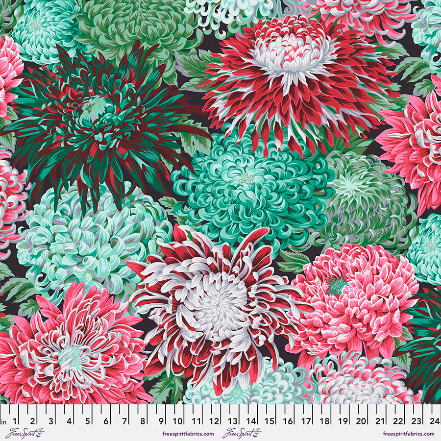 Japanese Chrysanthemum  - Blush PWPJ041