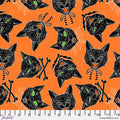 Scaredy Cats - Orange || Scaredy Cat PWRH029.ORANGE