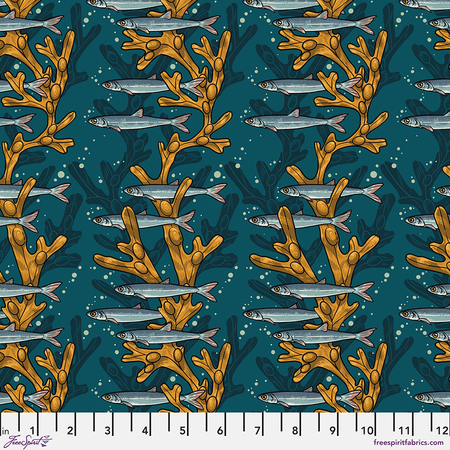 Artful Anchovy - PWRH081.Teal || Mariana