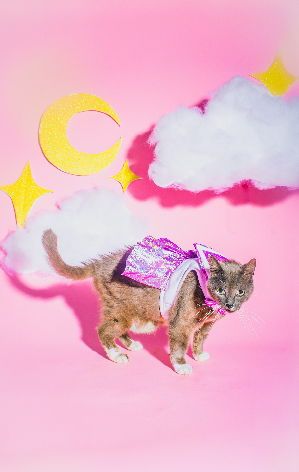 CUT/SEW Beginner Friendly Dog Seifuku Sewing Pattern