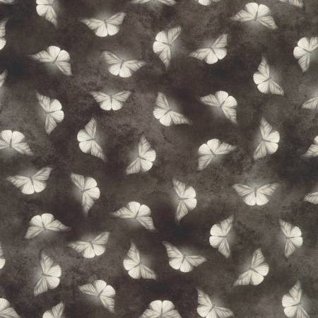 Ravenwood Shadow Butterflies SRKD-23997-304