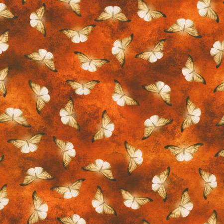 Ravenwood Orange Spice SRKD-23997-322